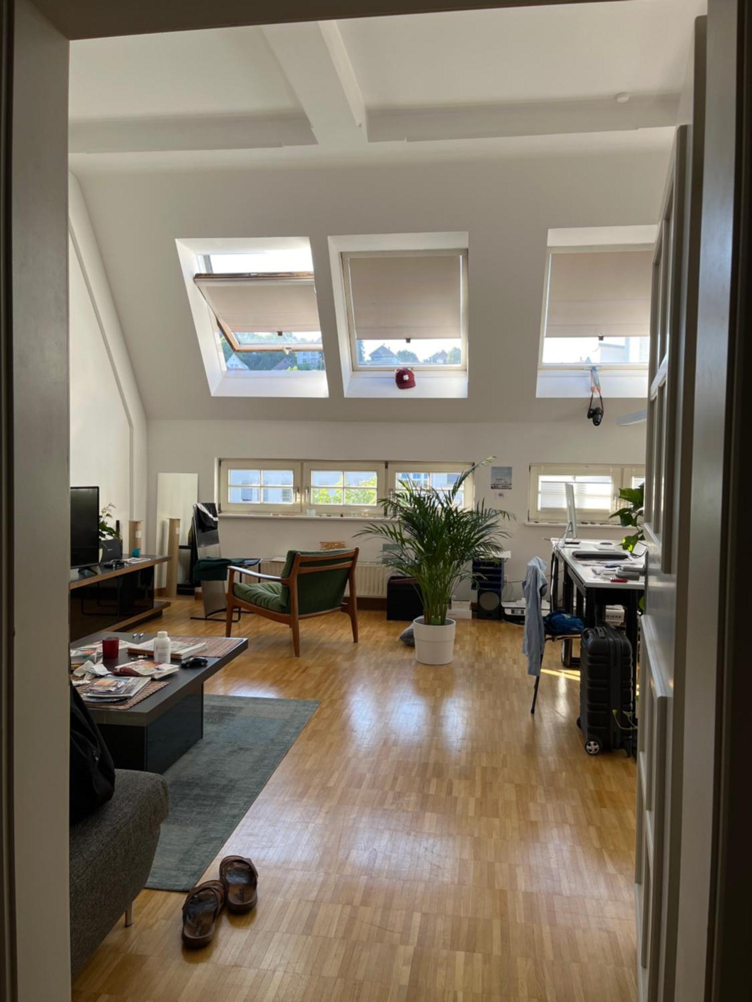 Loftcharakter Mit Schoener Aussicht Ueber Appartement